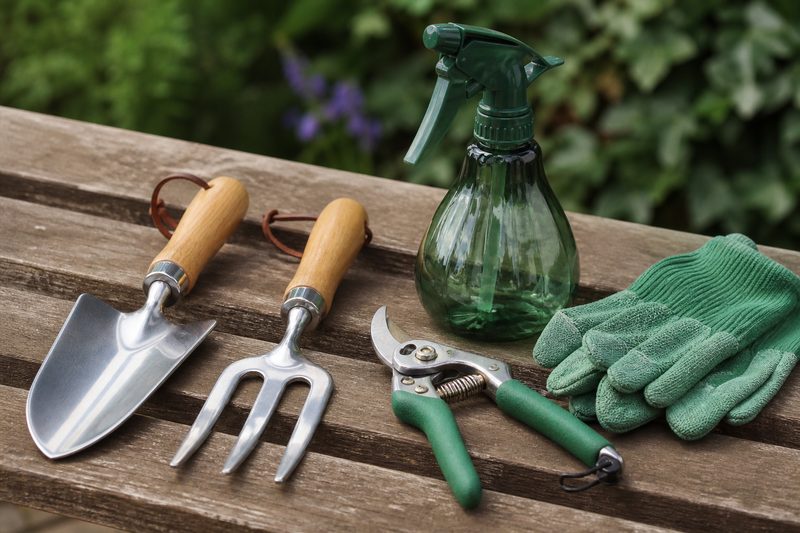 Gardening hand tools, pruners and gloves