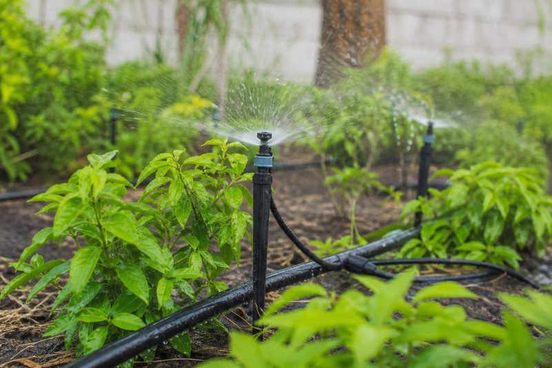 Automatic drip irrigation tubing and sprinklers